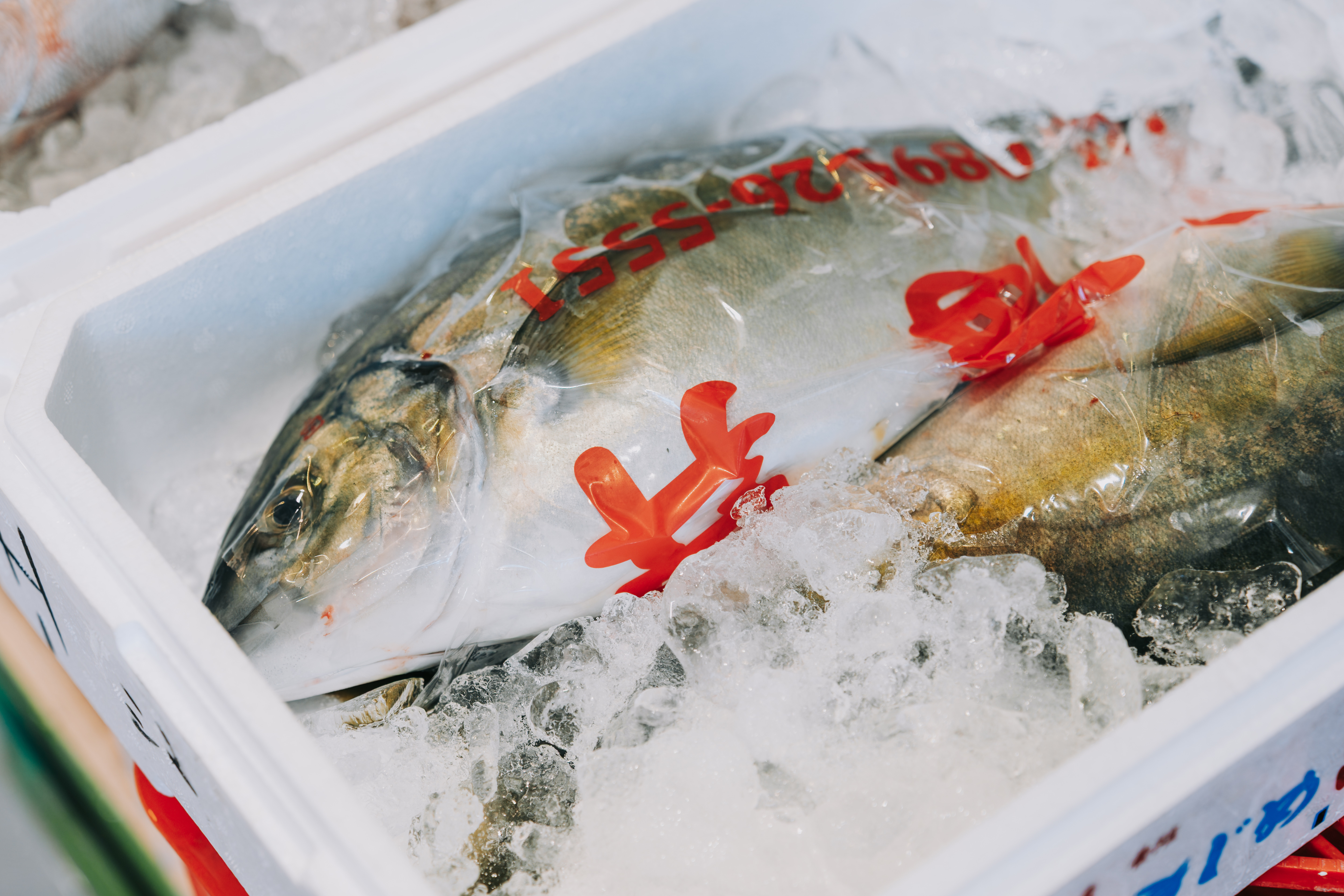 従業員割引制度